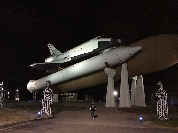 A walk in the rocket garden... there huge!!!